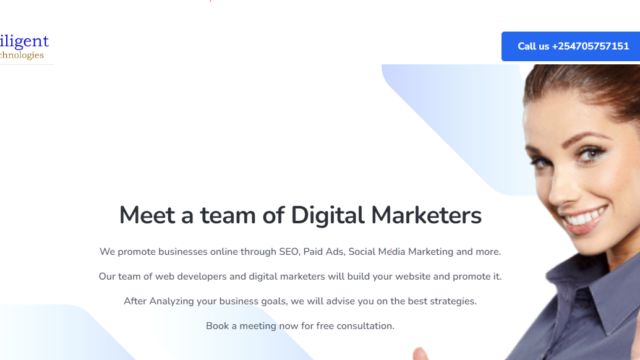 diligent web developers